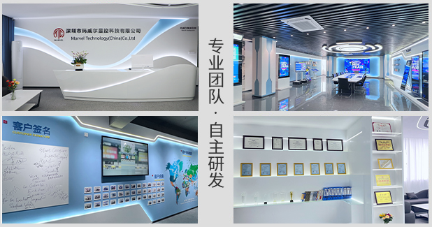 政府參股，自主研發